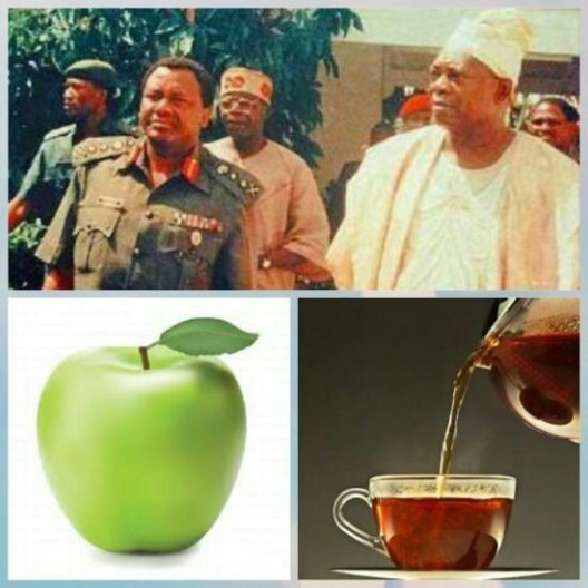 Femi Fani-Kayode Exposes Who “Killed Abiola & Poisoned Abacha’s Apple! (Photos)