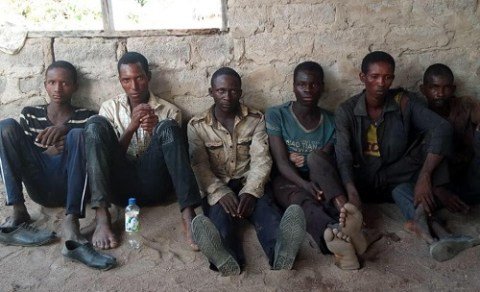 Fulani Herdsmen Caught Red-handed Destroying Farmland In Benue State