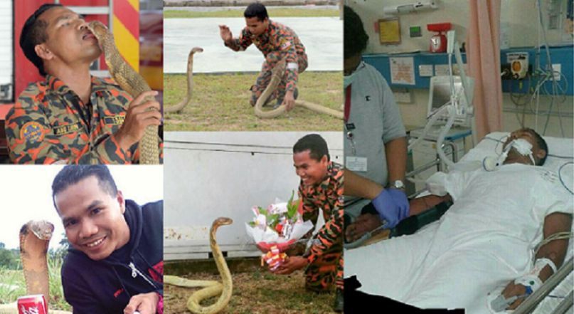 Popular Snake Handler Dies After He Was Bitten By A Deadly Cobra (Photos)