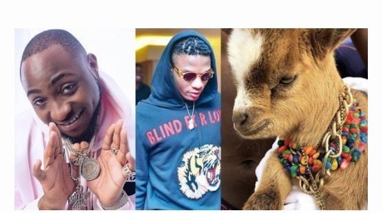 Davido reacts as Wizkid acquires new pet