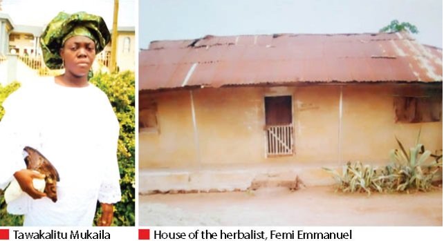 Woman Dies In the House of the Native Doctor After Drinking Concoction In Kwara (Photo)