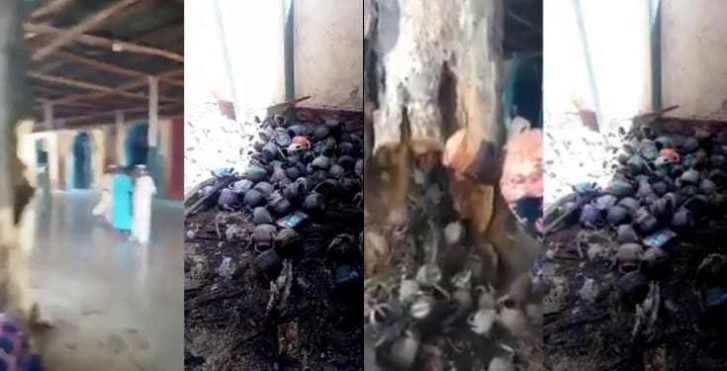 Strange! Hundreds of Plastic kettles gush out of a tree being cut down inside a mosque (Video)