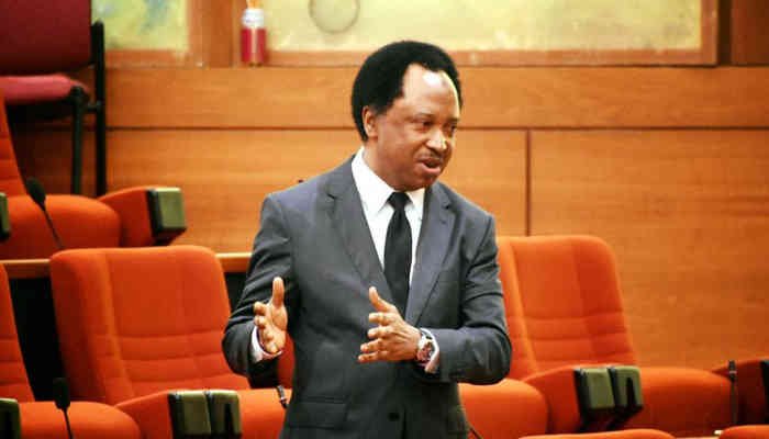 Leaders Are Deceiving Buhari About Insecurity – Shehu Sani