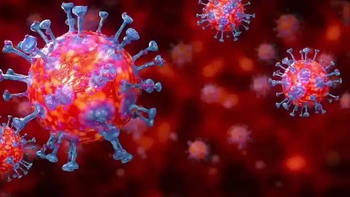 Nigeria Records 184 New Cases Of Coronavirus