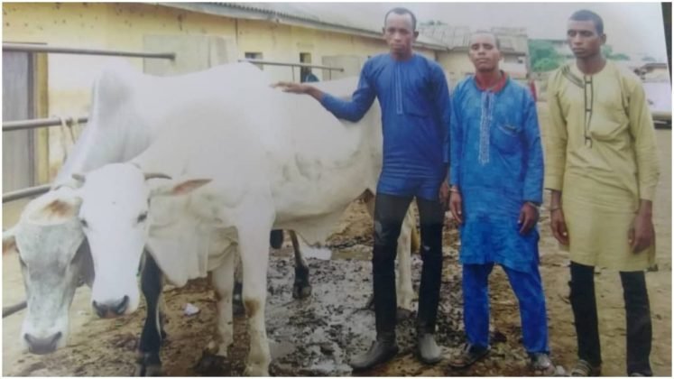 NSCDC Parades Three Suspected Cattle Thieves In Ibadan