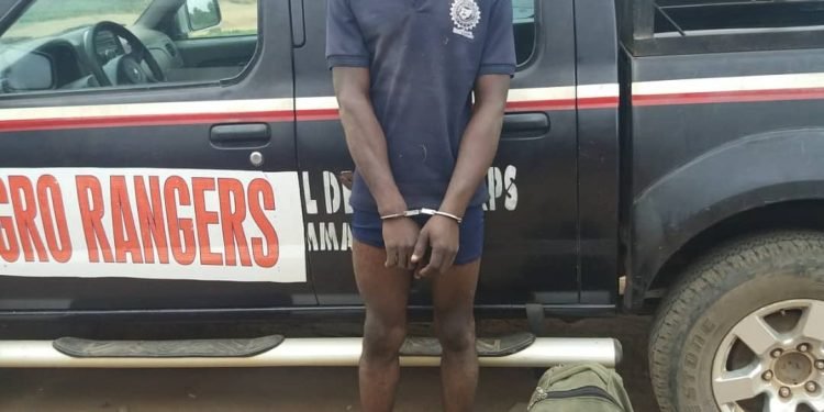 Oyo NSCDC Arrests Farmer For Alleged Murder