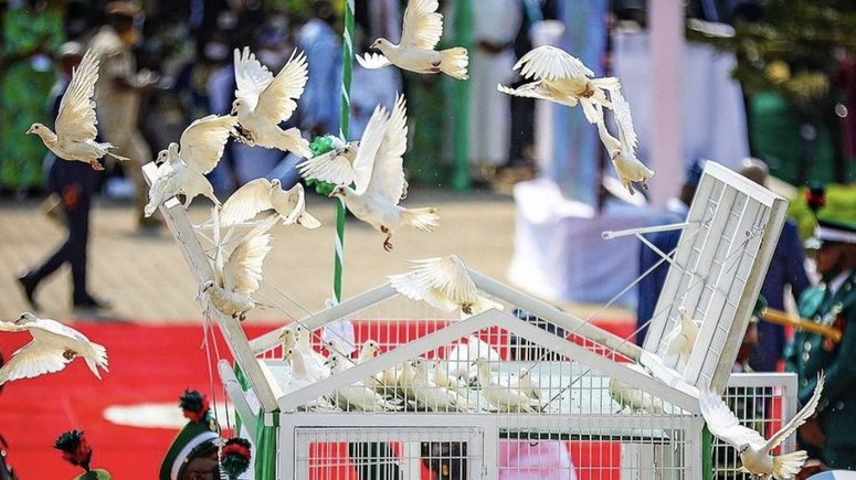 Presidency explains why pigeons released by Buhari refused to fly