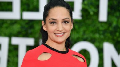 Archie Panjabi Net Worth, Biography, Age, Husband, Height, Nationality, Parents, Family