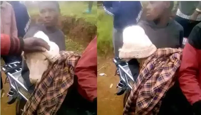 Thieves With Stolen Sheep Dressed In Clothe To Look Like Baby Arrested (Photos)