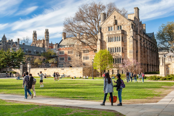 2023 Scholarships At Yale University, USA + Scholarship At Vienna Biocenter, Austria