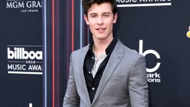 Shawn Mendes Bio, Net Worth, Age, Wife, Height, Children, Parents, Family