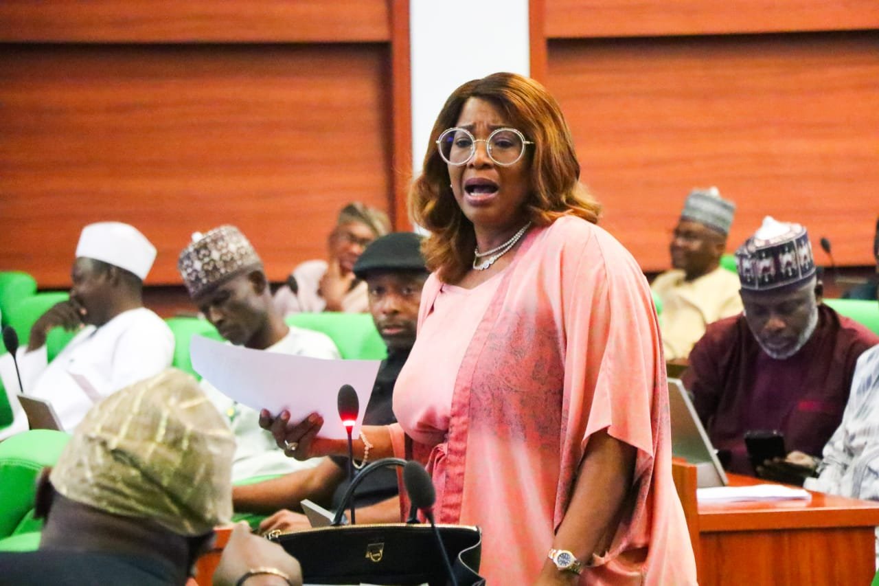 Lawmaker Decries Low Representation of Women in Nigerian Politics