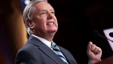 Lindsey Graham Bio, Age, Parents, Net Worth, Wife, Children - NG News 247