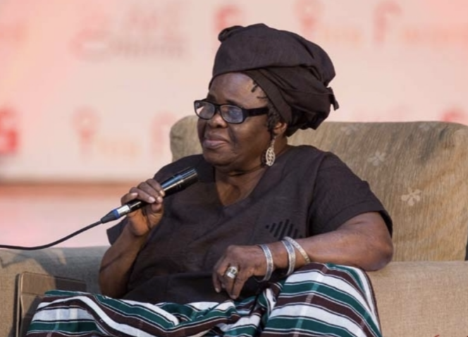 Ama Ata Aidoo Net Worth: What is Ama Ata Aidoo Worth?