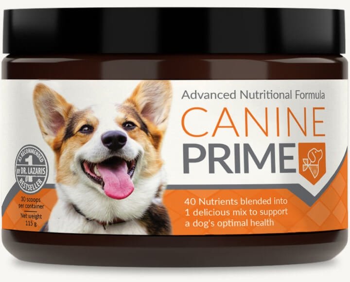 Canine Prime Reviews: Benefits and Side Effects