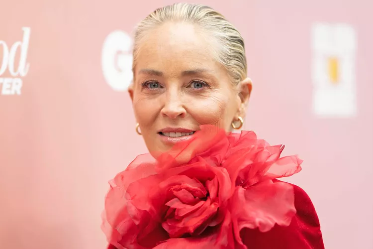 How Much Money is Sharon Stone Worth? Biography, Age, Wife, Net Worth