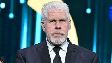 Ron Perlman Biography: Age, Movies, Wife, Children, Net Worth