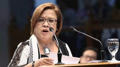 Leila de Lima Biography, Age, Height, Career, Net Worth