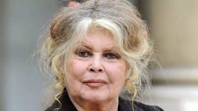 Brigitte Bardot Biography, Age, Height, Parents, Siblings, Husband, Children, Net Worth