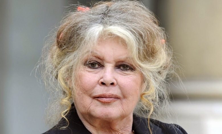 Brigitte Bardot Biography, Age, Height, Parents, Siblings, Husband, Children, Net Worth