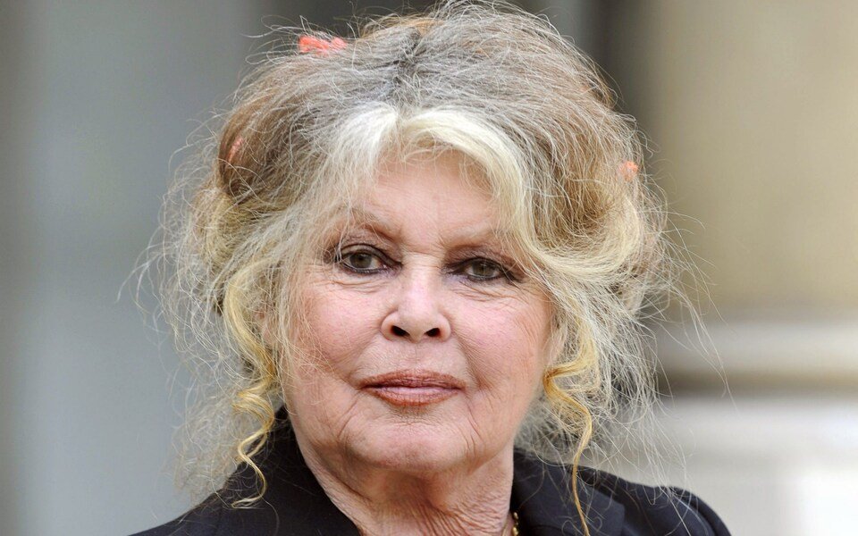 Brigitte Bardot Biography: Age, Height, Parents, Siblings, Husband, Children, Net Worth