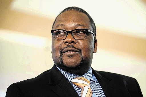 Nathi Nhleko Bio, Age, Parents, Career, Wife, Children, Tribe, Net Worth