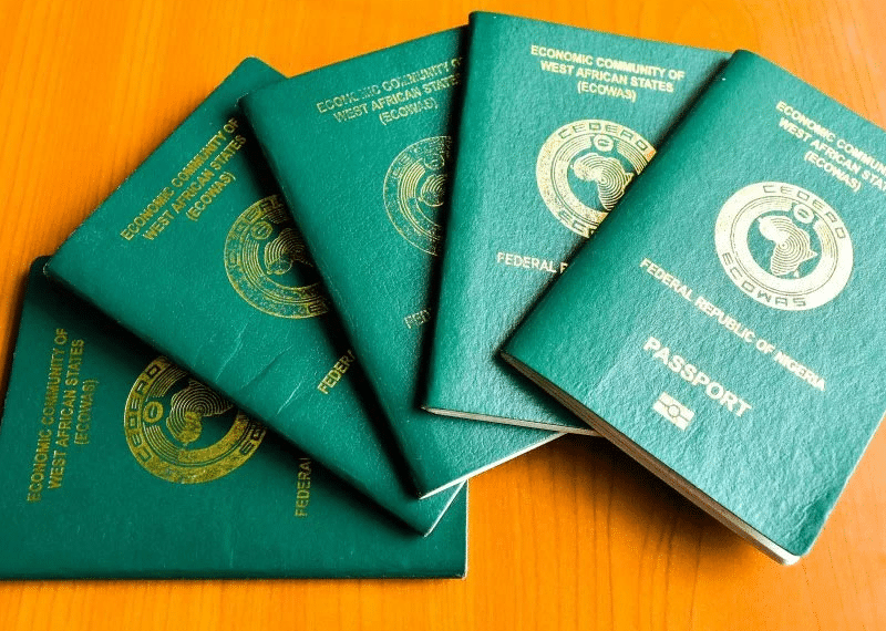 How To Apply for Passport Online in Nigeria: A Step-by-Step Guide