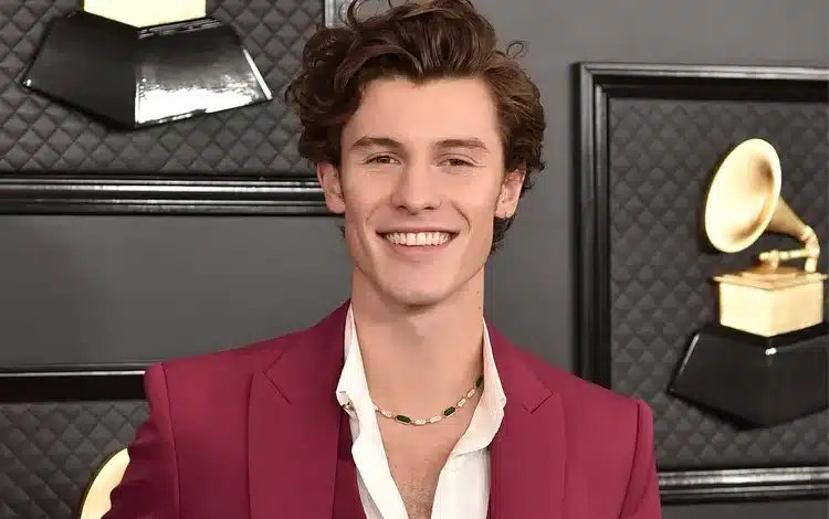 Shawn Mendes Biography, Age, Height, Net Worth, Parents, Wife, Children